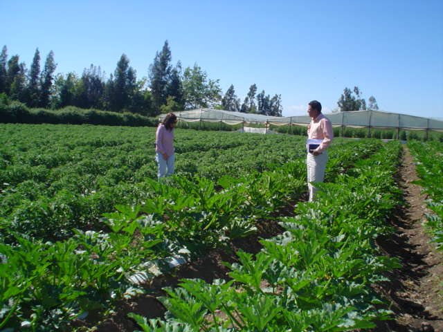 agricultores-2